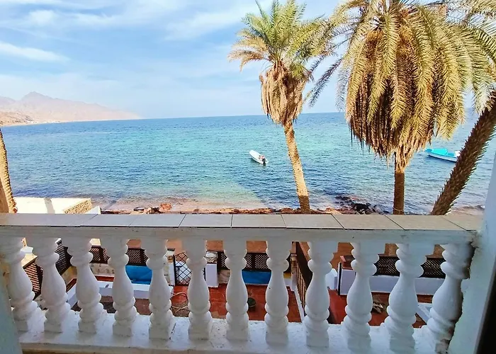 Daire The Spot El Assalaa *