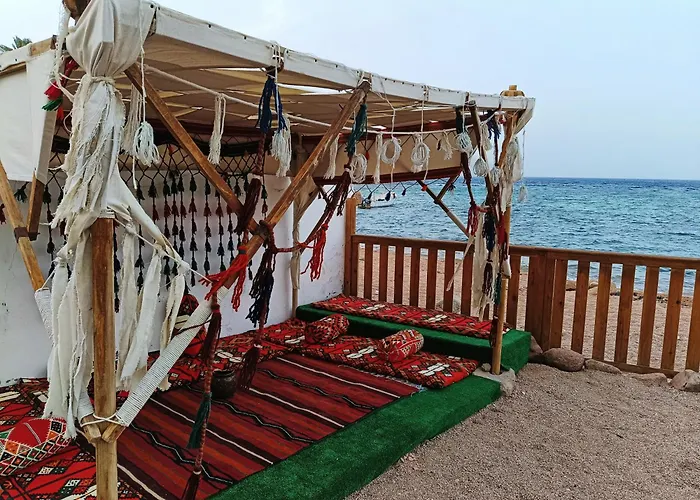 The Spot El Assalaa Daire *