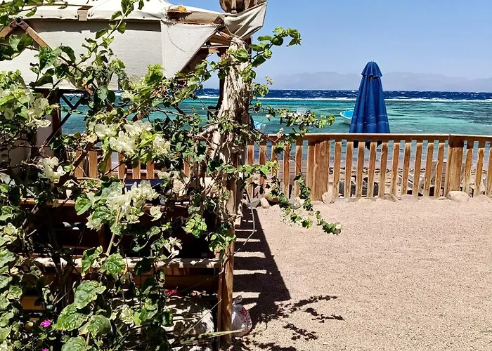 The Spot El Assalaa *